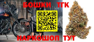 индика Дубна