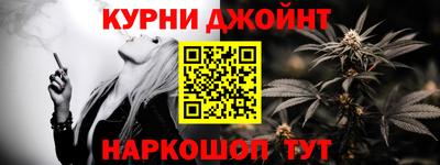 индика Дубна