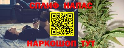 индика Дубна