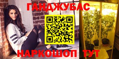индика Дубна