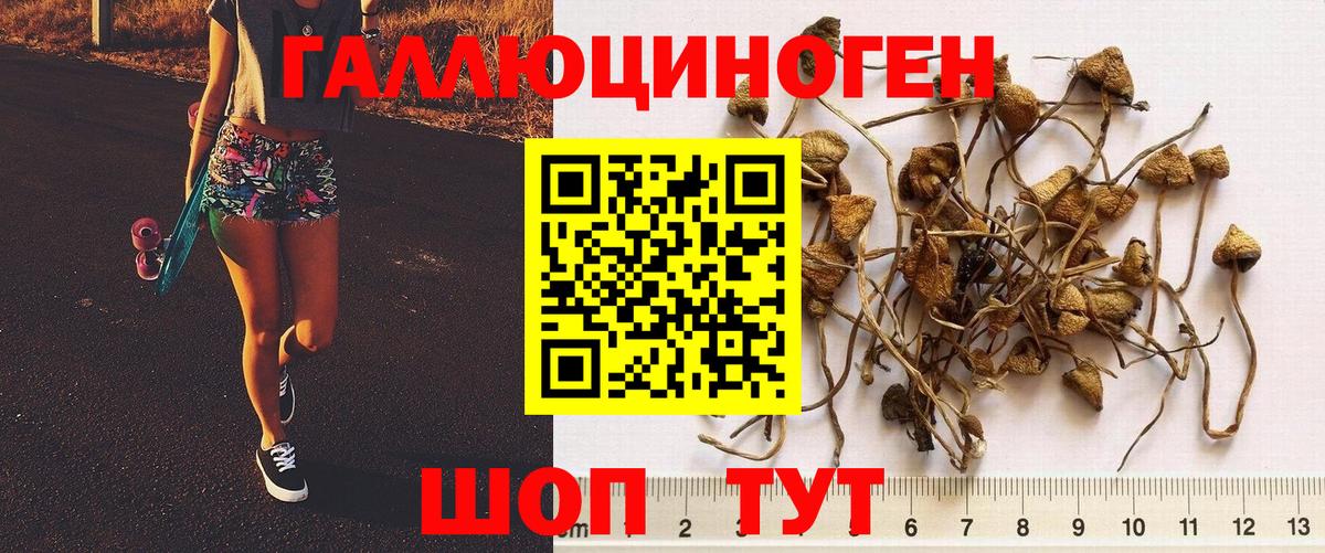Псилоцибиновые грибы Cubensis  Вход с VPN  Тельмана  Галлюциногенные грибы ЛСД 