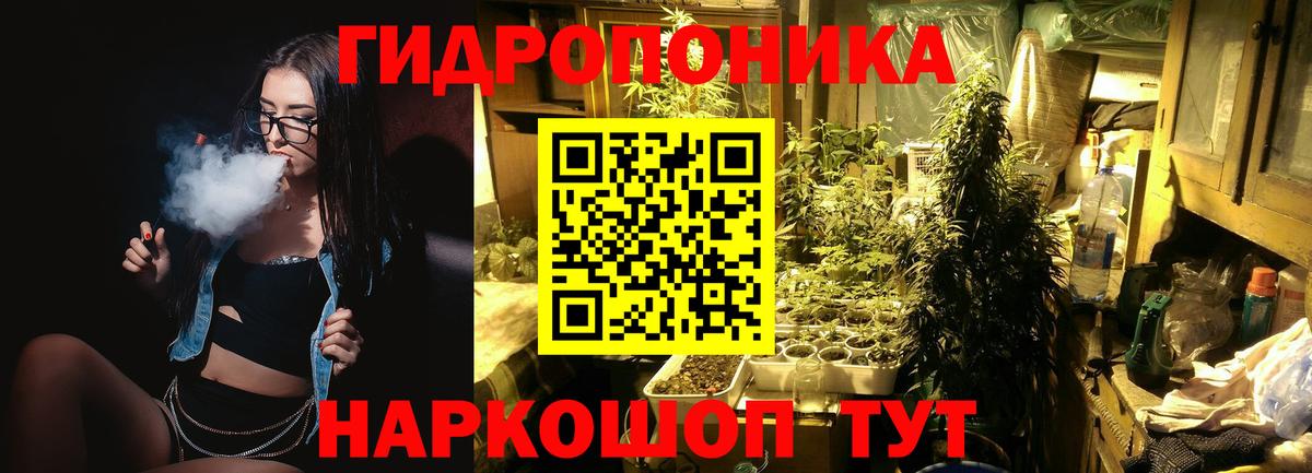 МАРИХУАНА Ganja Тельмана